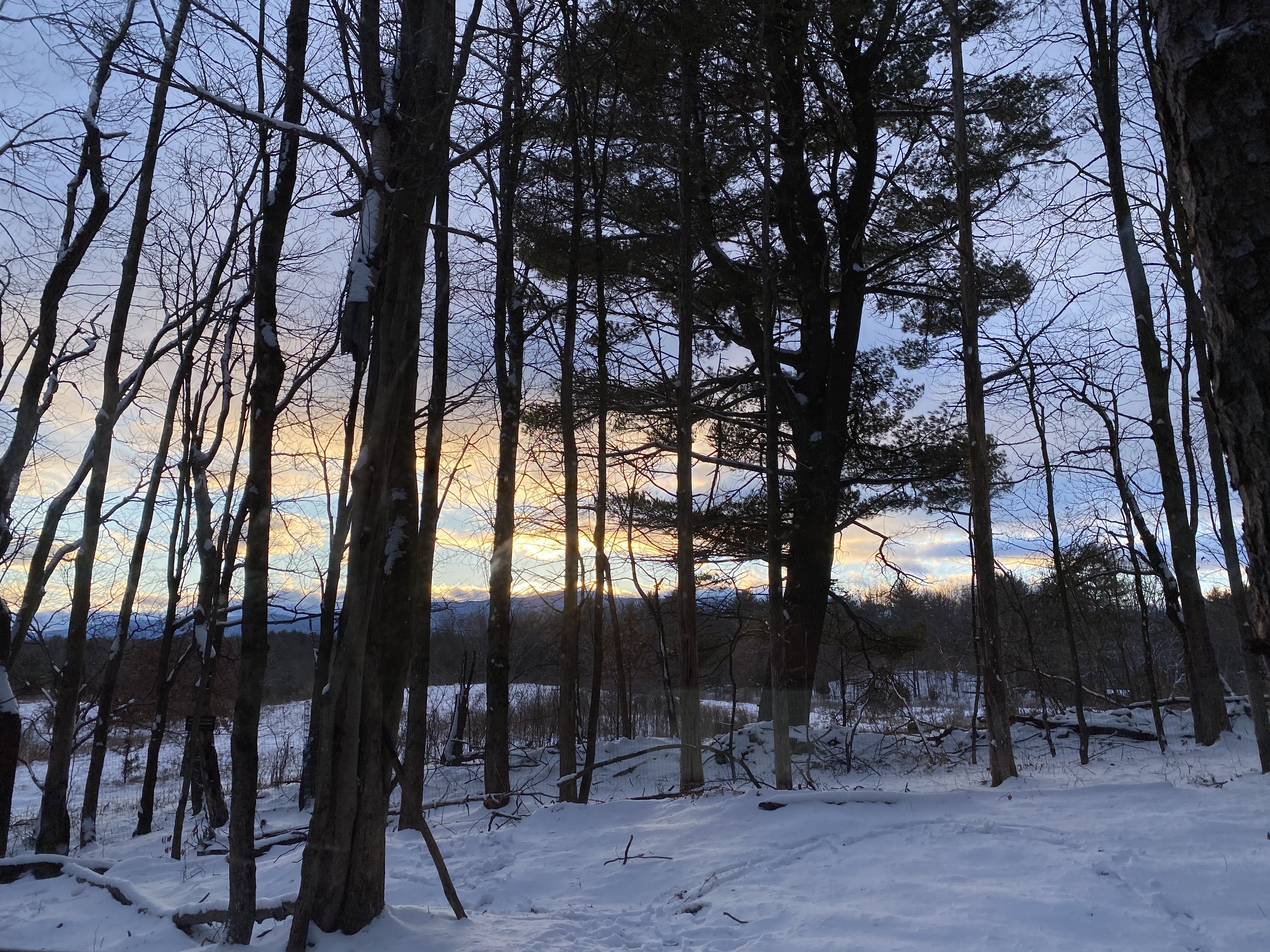 Processed With Darkroom